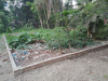 রেডি প্লট (৬ শতাংশ)